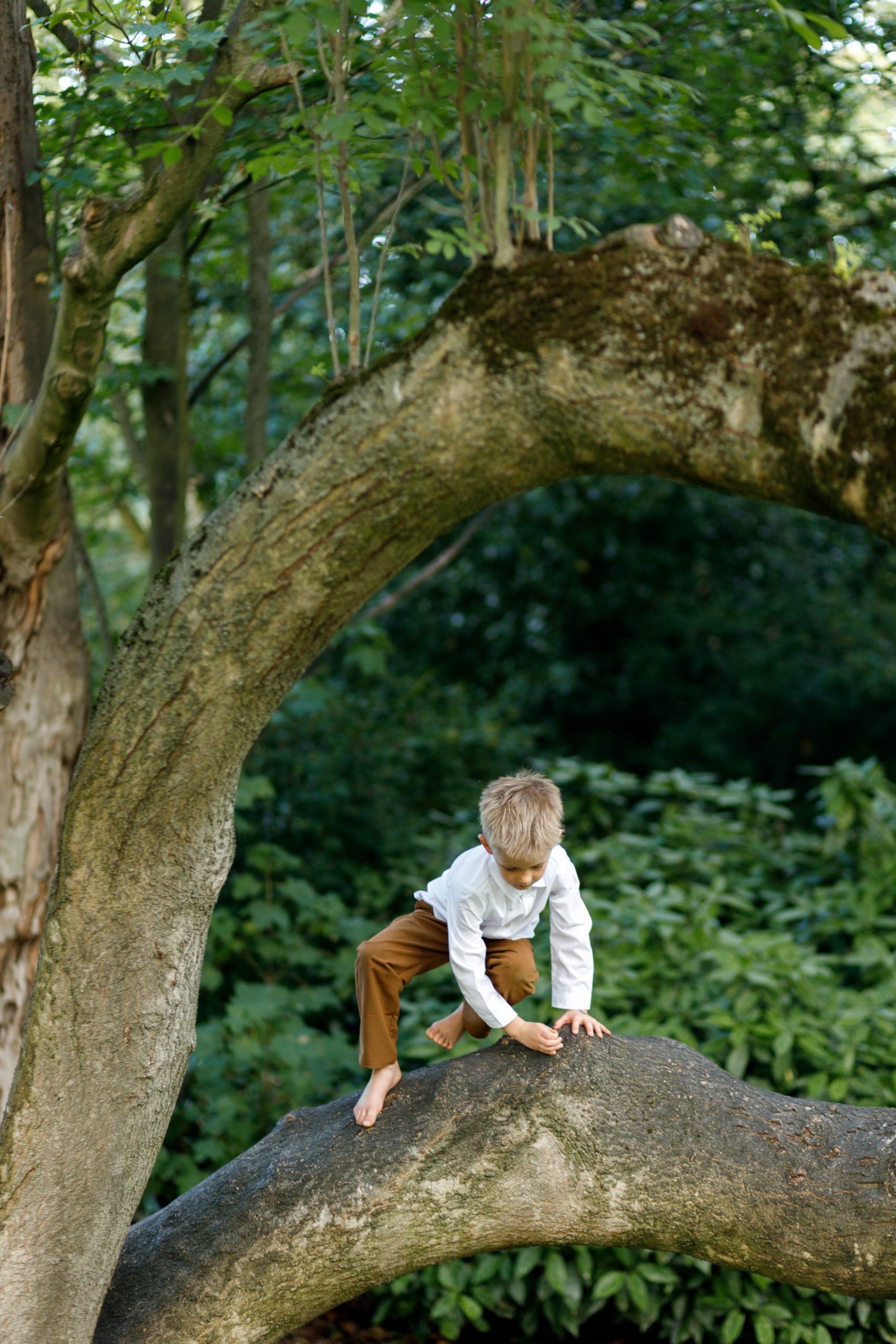 Child climbs tree in grounds of Woodlands Hotel during wedding